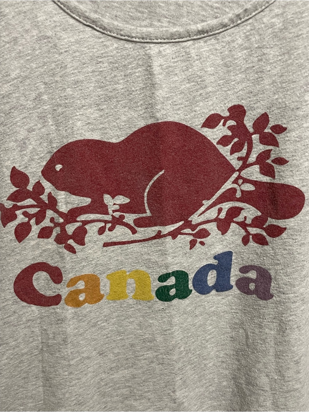 Roots Canada Pride Rainbow T-Shirt Dress Women’s Medium - Picture 4 of 9